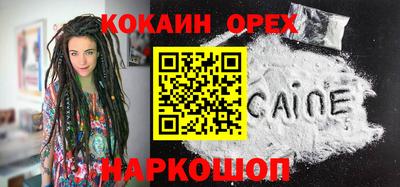 крисы Аргун
