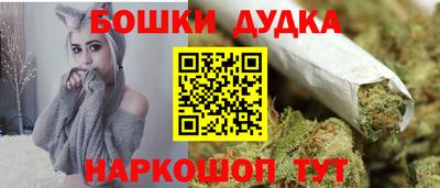 крисы Аргун