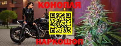стафф Апшеронск