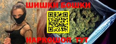 крисы Аргун