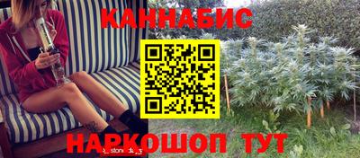 крисы Аргун